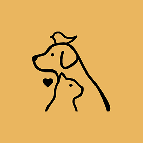 Petto